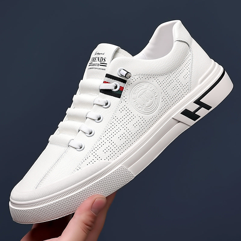Hal™ | Scarpe comode da uomo - Edizione limitata